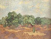 Vincent Van Gogh Olive Grove:Pale Blue Sky (nn04) France oil painting artist